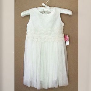 Popatu Baby/Girls Lace Dress (Flower Girl Dress)